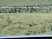 pic012.jpg: 2003/08/20 - Deb and Ben visit Alaska - 2003