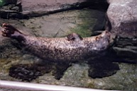 Pic-51.jpg: 1997/06/01 - Baltimore - Group 1 Conference - 1997