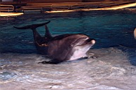 Pic-53.jpg: 1997/06/01 - Baltimore - Group 1 Conference - 1997