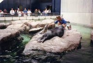 Pic-55.jpg: 1997/06/01 - Baltimore - Group 1 Conference - 1997