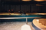 Pic-56.jpg: 1997/06/01 - Baltimore - Group 1 Conference - 1997