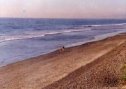 Image-13.jpg: 1992/11/01 So Carlsbad State Beach - 1992
