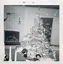 Image-551.jpg: 1958/12/25 - Christmas - 1958 - Anne