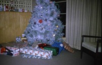 Pic-458.jpg: 1962/12/25 - Christmas - 1962