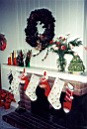 Photo-2.jpg: 2000/12/25 Christmas - 2000