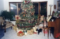 Pic-19.jpg: 2001/12/02 - Decorating the Tree - 2001