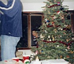 Pic-31.jpg: 2001/12/02 - Decorating the Tree