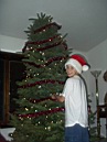 P1010038.JPG: 2003/12/14 - Christmas - 2003 - Tree Trimming