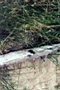 Photo-13.jpg: 2000/08/01 Eagle Lake - 2000