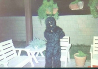 Image-07.jpg: 1987/10/31 Halloween - 1987
