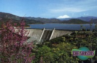 Pic-21.jpg: 1995/08/01 Lake Shasta - 1995