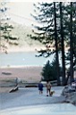 Pic-44.jpg: 1995/08/01 Lake Shasta - 1995