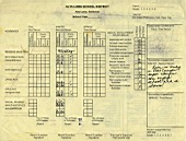 Pic-10.jpg