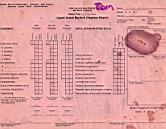 Pic-11.jpg