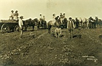 PhotoOrg2-2: 1906 - Potato Harvest - Esther on the horse
